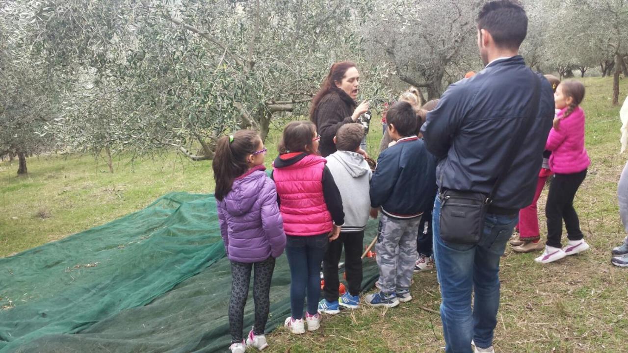 Willa Societa Agricola F.Lli Angelucci Cannara Zewnętrze zdjęcie